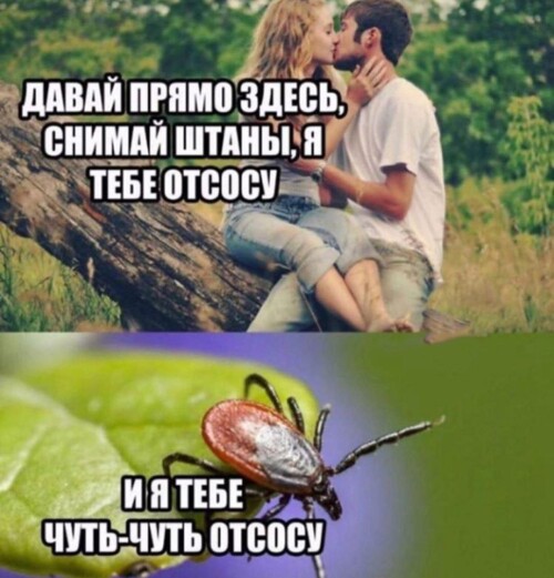 MEMY-DLY-VZROSLYK-S-NADPISYMI-35.jpeg