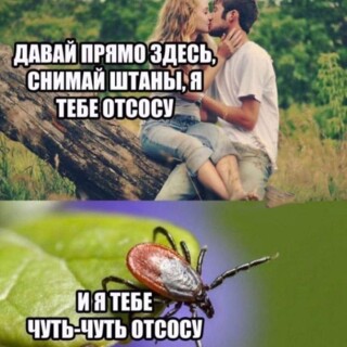 MEMY-DLY-VZROSLYK-S-NADPISYMI-35