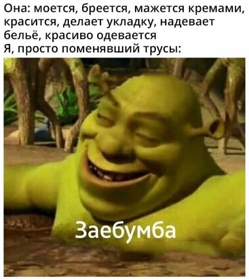 MEMY-DLY-VZROSLYK-S-NADPISYMI-7.jpeg