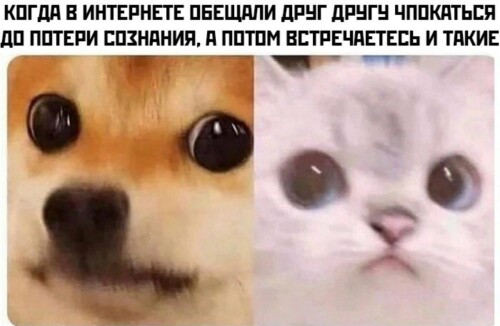 MEMY-PRO-SEKS-18-POSLYI-VZROSLYI-YMOR-111.jpeg