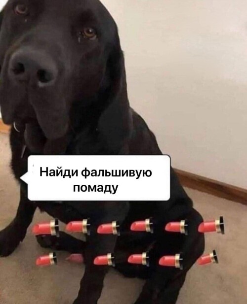 MEMY-PRO-SEKS-18-POSLYI-VZROSLYI-YMOR-151.jpeg