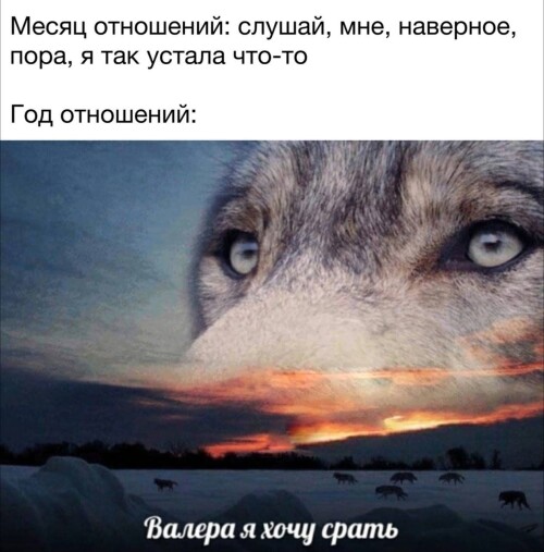 MEMY-PRO-SEKS-18-POSLYI-VZROSLYI-YMOR-168.jpeg