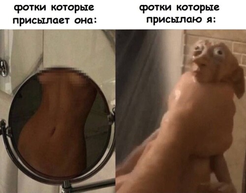 MEMY-PRO-SEKS-18-POSLYI-VZROSLYI-YMOR-186.jpeg