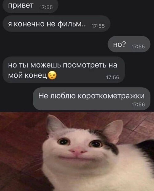 MEMY-PRO-SEKS-18-POSLYI-VZROSLYI-YMOR-275.jpeg