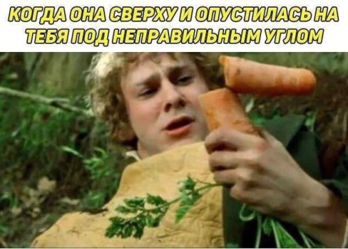 MEMY-PRO-SEKS-18-POSLYI-VZROSLYI-YMOR-277.jpeg