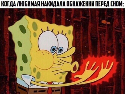 MEMY-PRO-SEKS-18-POSLYI-VZROSLYI-YMOR-29.jpeg