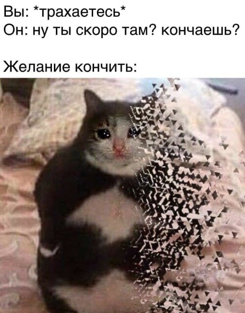 MEMY-PRO-SEKS-18-POSLYI-VZROSLYI-YMOR-43.jpeg