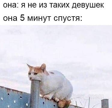 MEMY-PRO-SEKS-18-POSLYI-VZROSLYI-YMOR-48.jpeg