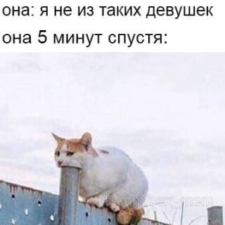 MEMY-PRO-SEKS-18-POSLYI-VZROSLYI-YMOR-48