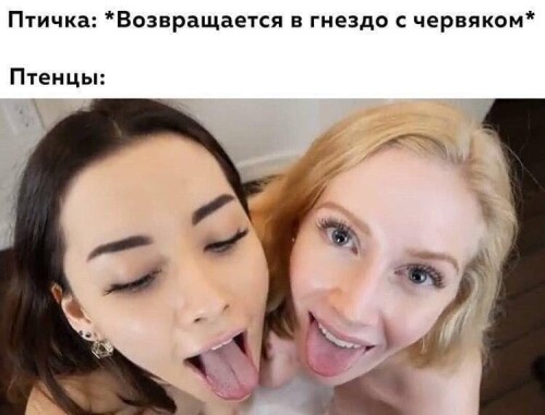 Мемы про секс 18+, пошлый взрослый юмор (78)