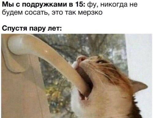 MEMY-PRO-SEKS-18-POSLYI-VZROSLYI-YMOR-90.jpeg