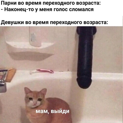 MEMY-PRO-SEKS-18-POSLYI-VZROSLYI-YMOR-97.jpeg