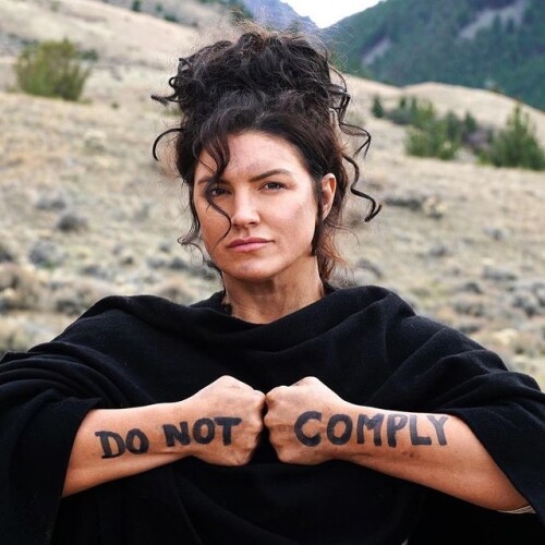 Gina-Carano-35.jpeg