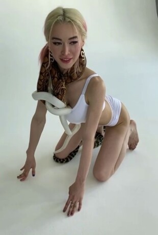 LiQueen-2