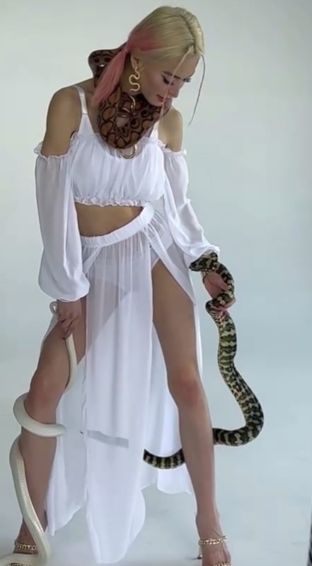 LiQueen-3