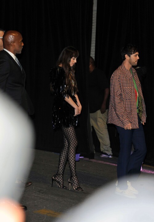 Dakota-Johnson-26ee4f109dcbfe917b