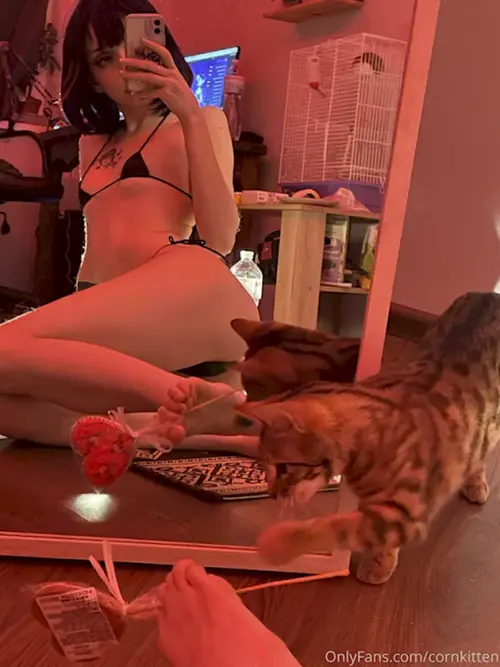 Cornkitten-NASTY-KONOKA-MONACENYK-632