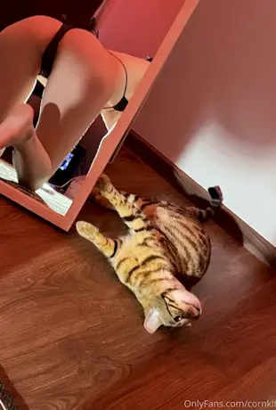 Cornkitten-NASTY-KONOKA-MONACENYK-648