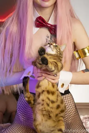 Cornkitten-NASTY-KONOKA-MONACENYK-879