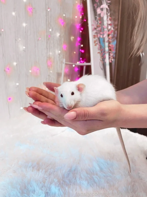 Peachybabyfrog-361
