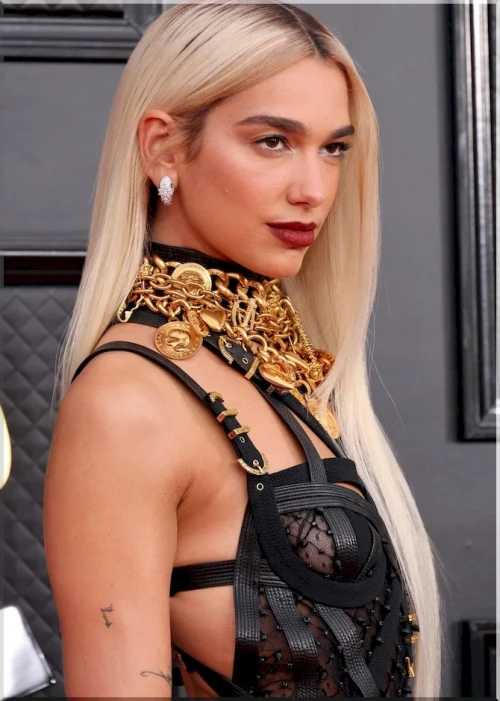 DUA-LIPA-SO-SVETLYMI-VOLOSAMI-2